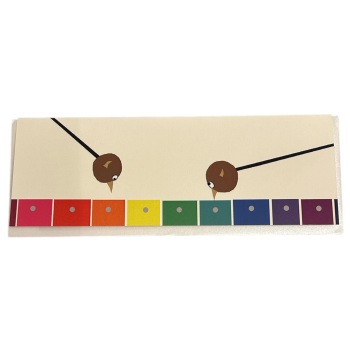 Holy Mackerel - Amanda Seymour Skinnies (Glockenspiel)