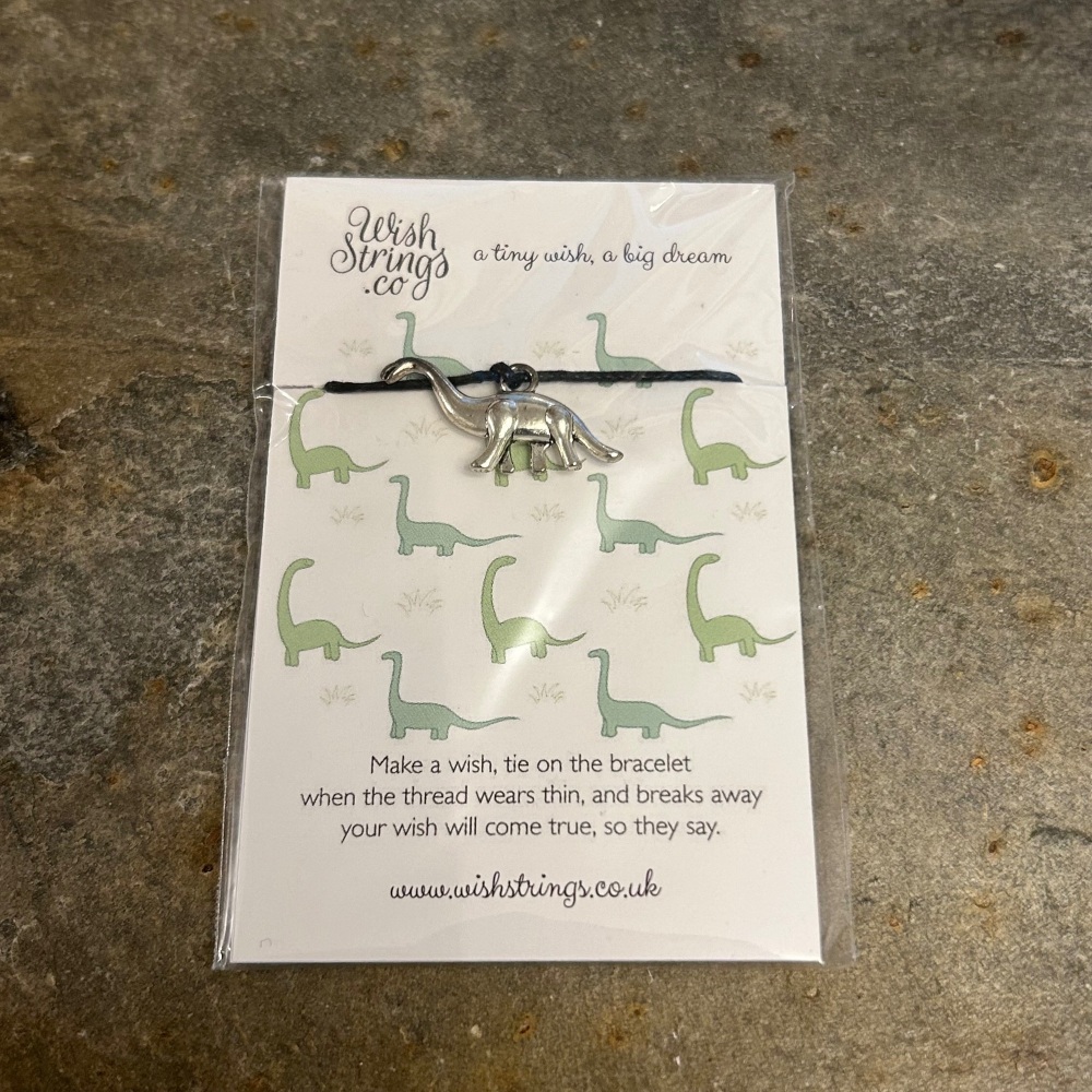 WIshstrings - Dolphin Charm