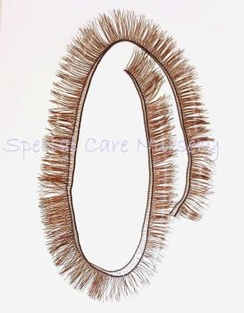 Brown eyelash strip 8mm lashes - 20cm long