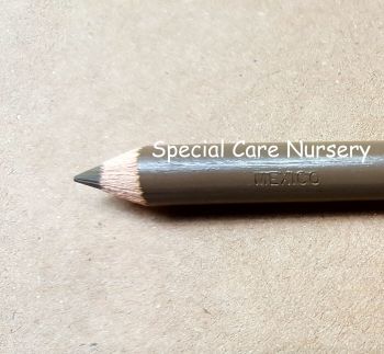 NewPrismacolor Premier® Soft Core Colored/Coloured Pencil - SANDBAR BROWN