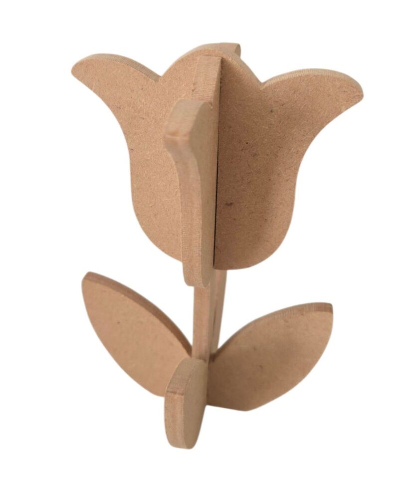 3D Tulip