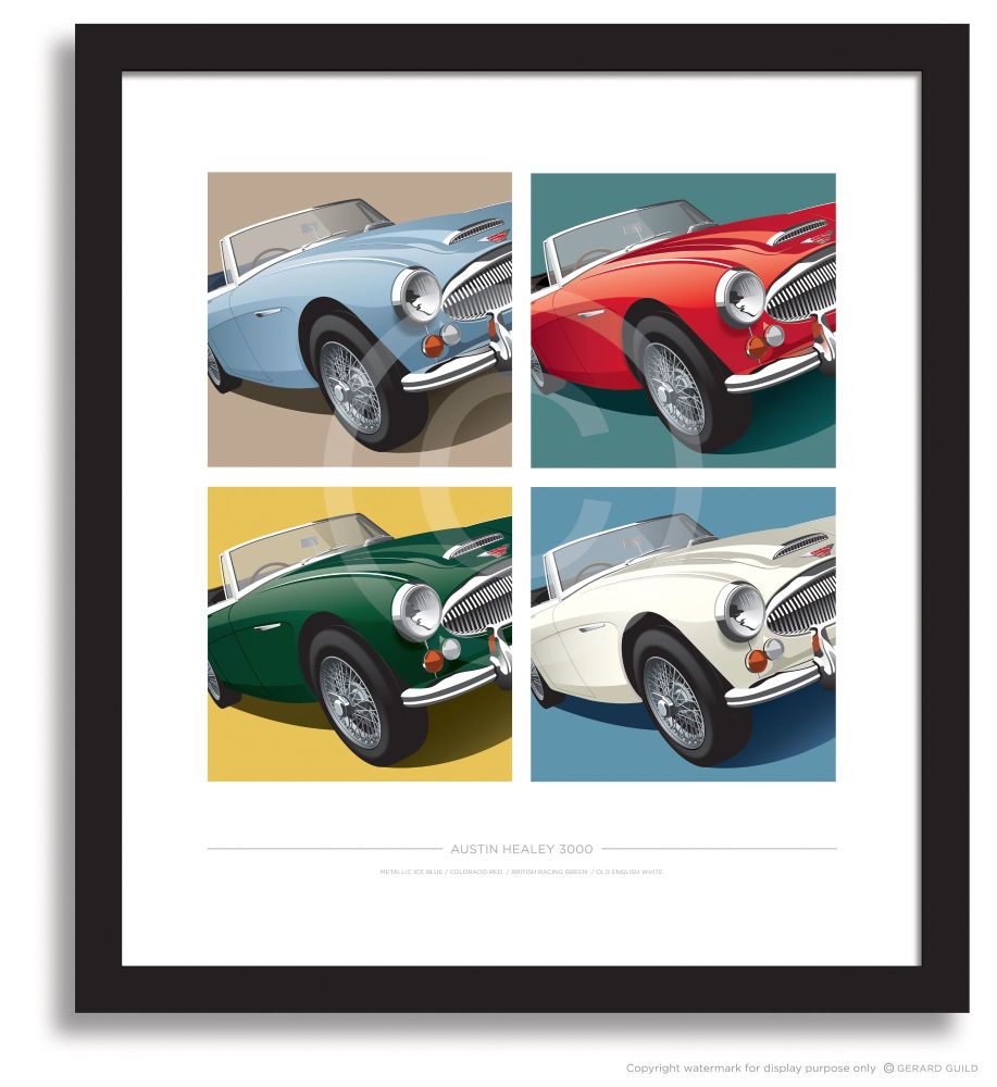 AUSTIN HEALEY 3000