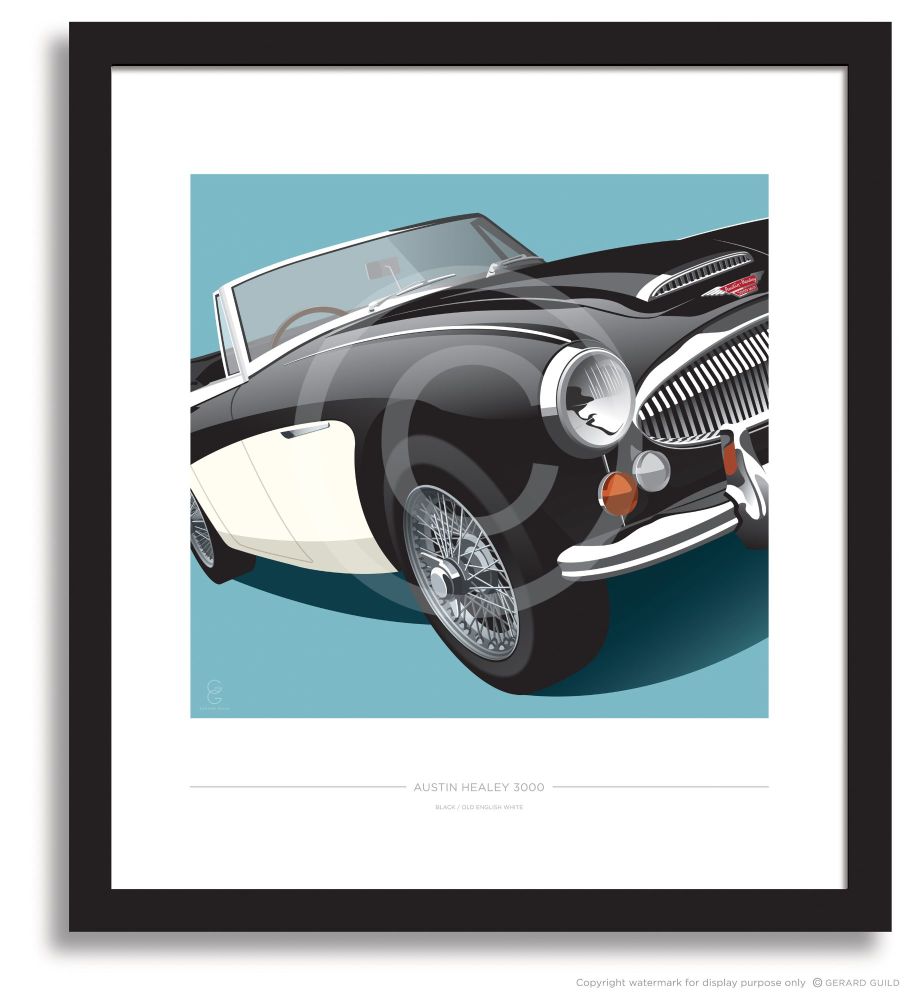 AUSTIN HEALEY 3000