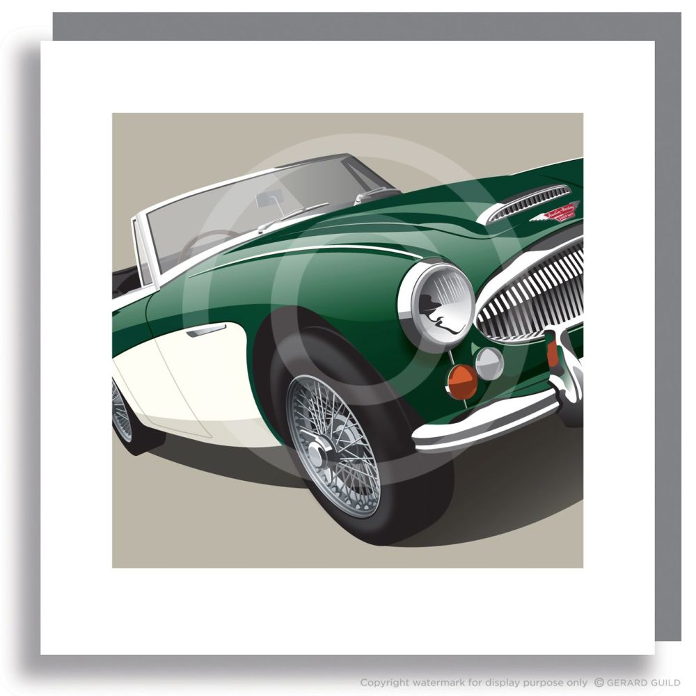 AUSTIN HEALEY 3000
