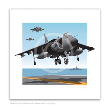 Sea Harrier Landing