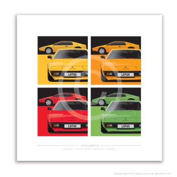 LOTUS ESPRIT S1 - Multi Image