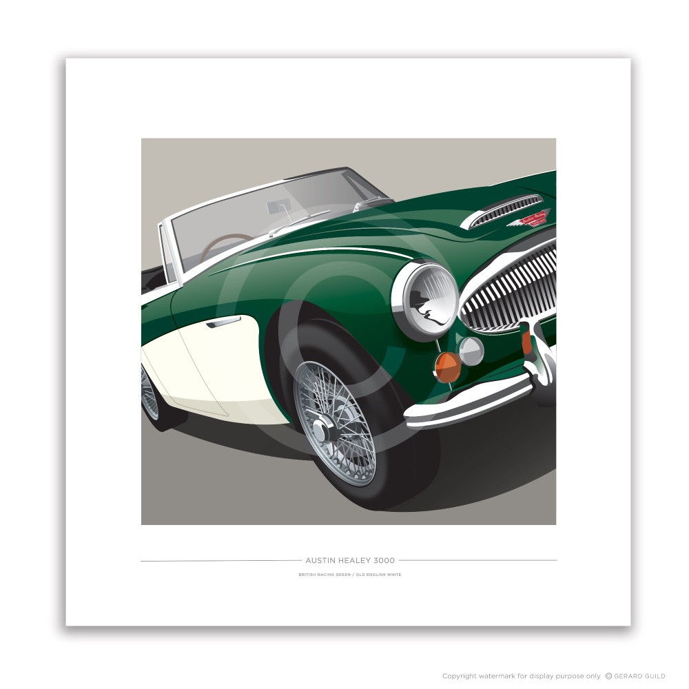 AUSTIN HEALEY 3000