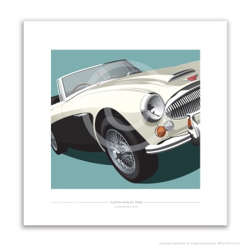 AUSTIN HEALEY 3000