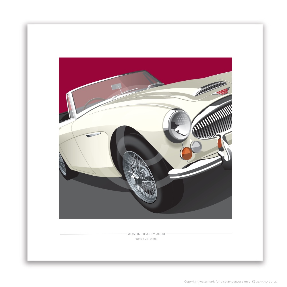 AUSTIN HEALEY 3000