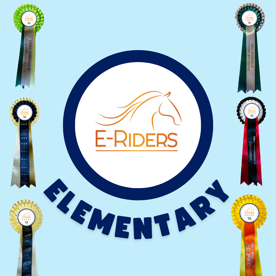 Elementary 4b (2020)