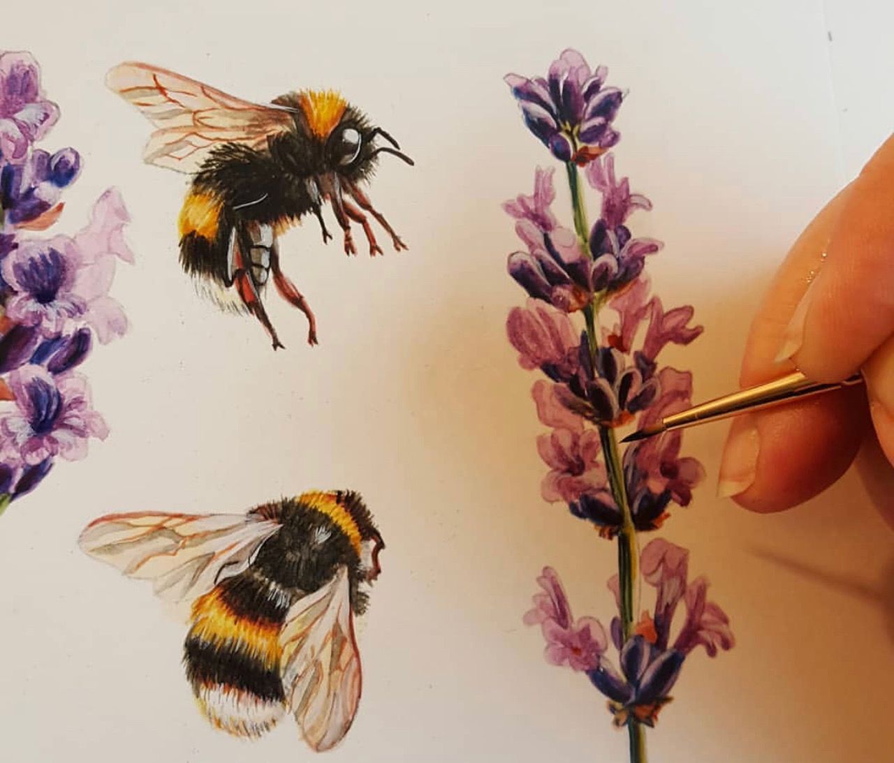 Hand-drawn Lavender Bees Art