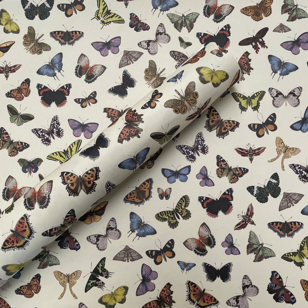 Hand Drawn Butterfly Gift Wrap