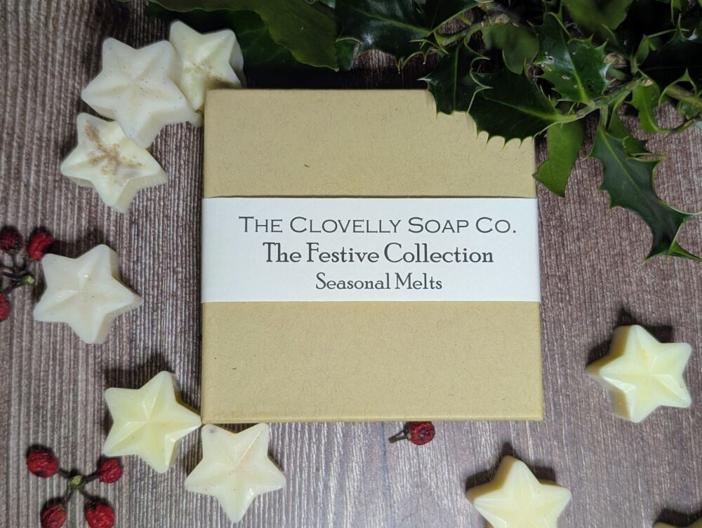 9 Christmas Limited Edition Wax Melts in a gift box