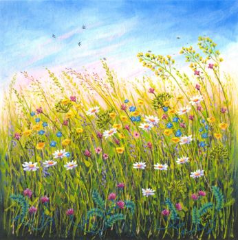 Summer Meadow
