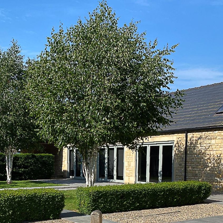 Spring Happy Stitches Hurrah 18th April 2026 Ticket ~ LAST FEW TICKETS