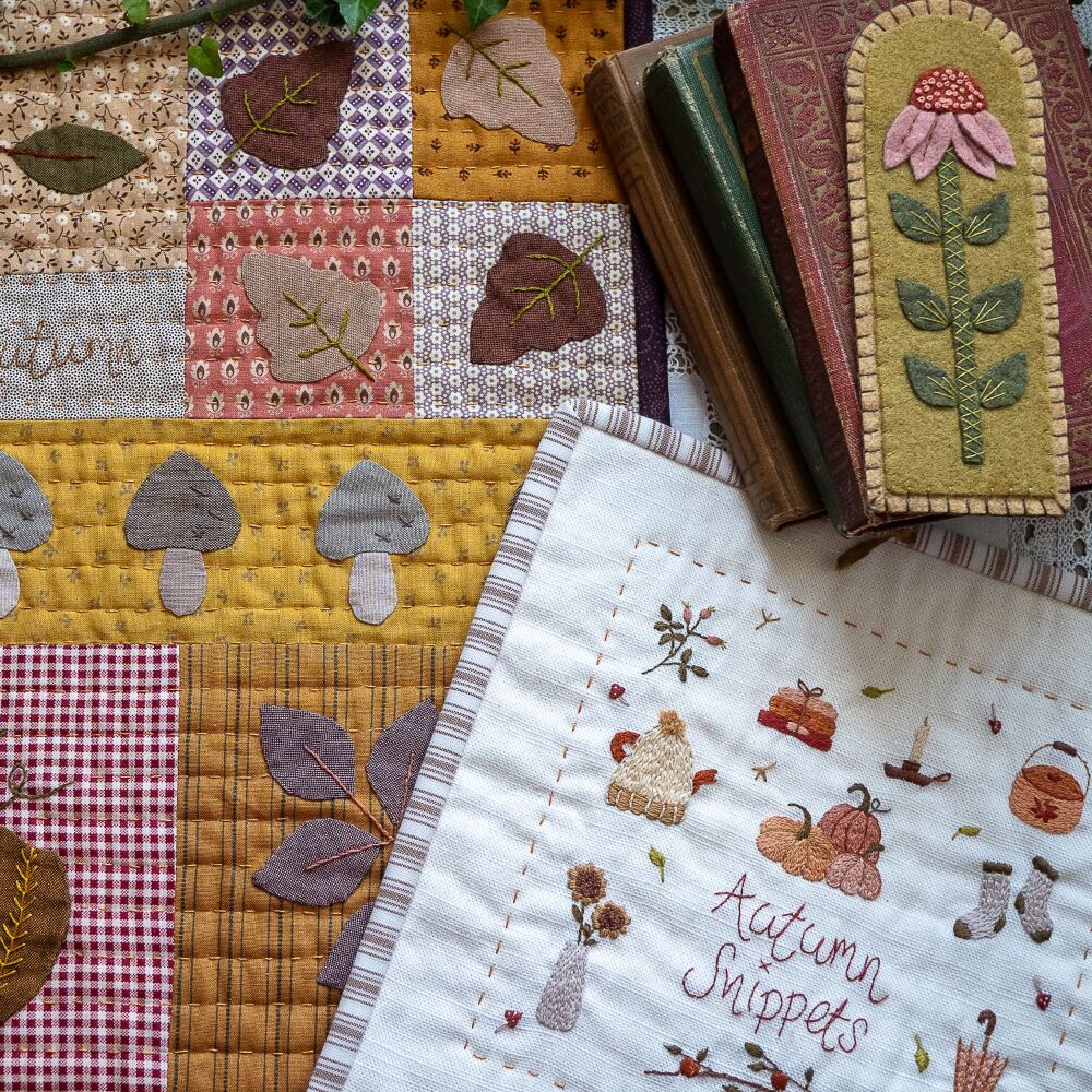 SPECIAL PURCHASE Secret Squirrel Stitch Society Autumn 2024 Box