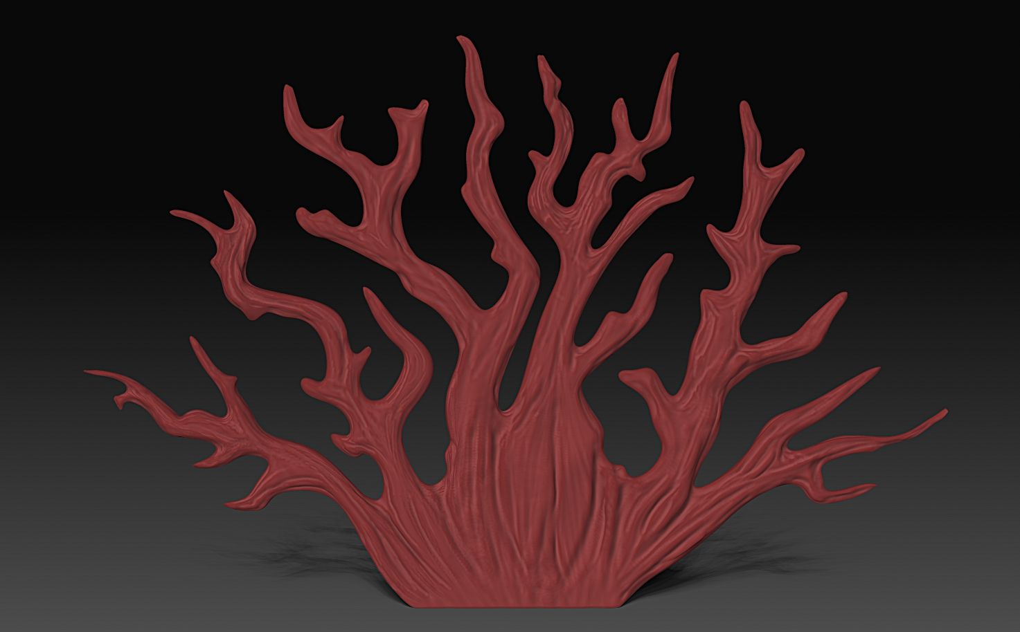 Coral Feature  Model
