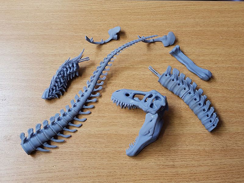Dinosaur 3D Print Pieces