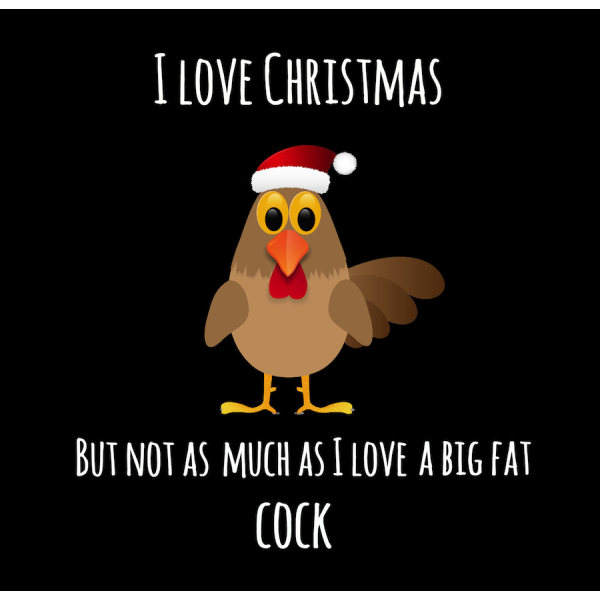 Funny Flaps Christmas Card 5 Pack