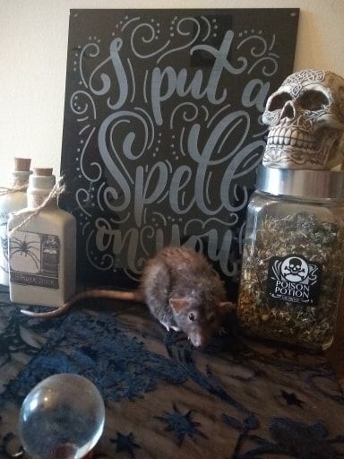 Spell On You Etched Sign