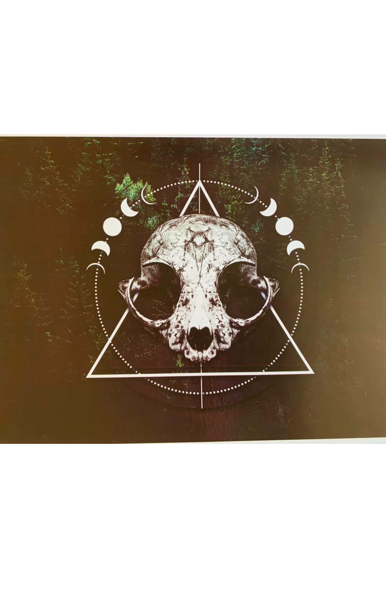 FOREST SKULL A4 Print RRP £4.99