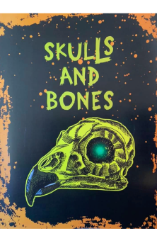 Skulls And Bones A4 Print