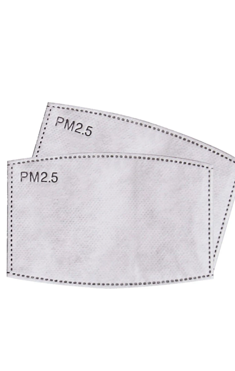 PM 2.5 Filters Replacements 2 pack