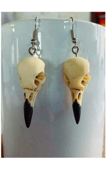 Bone Bird Skull Earrings