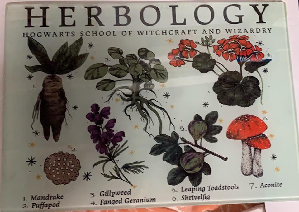 Herbology Glass Chopping Board #406