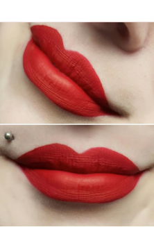 Premonition Liquid Matte Lipstick