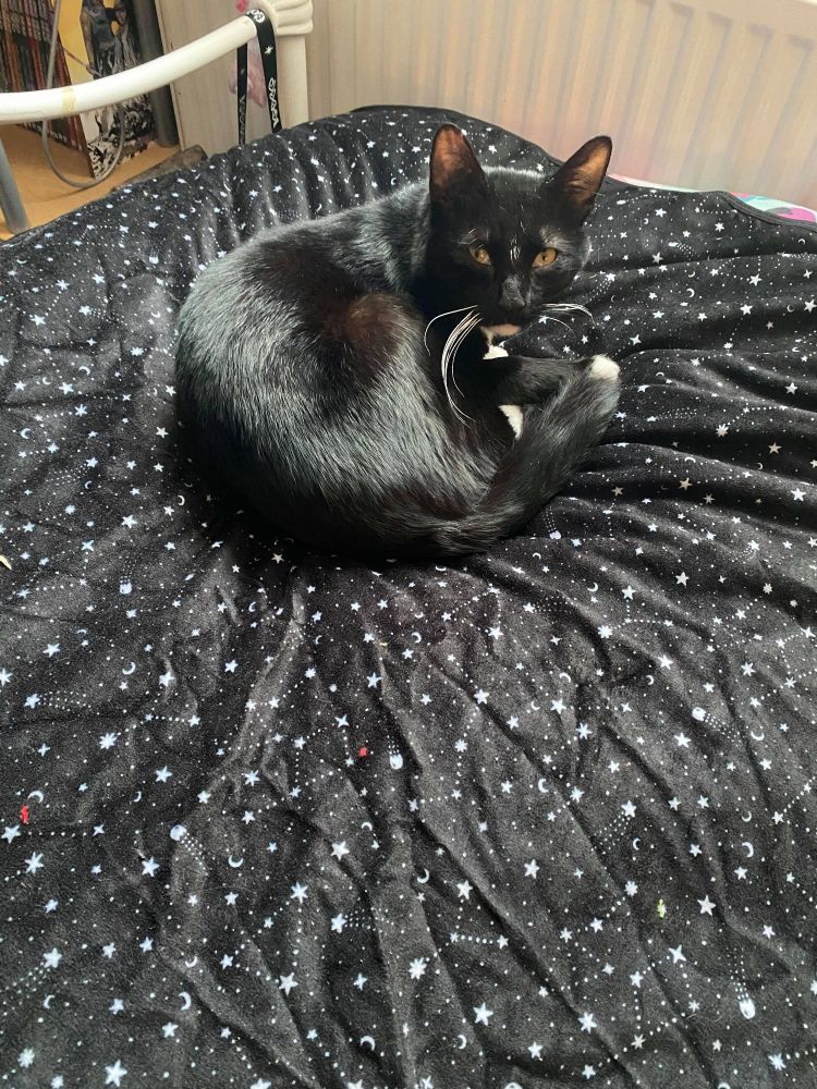 Written In The Stars Blanket