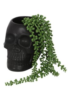 Skull plant pot