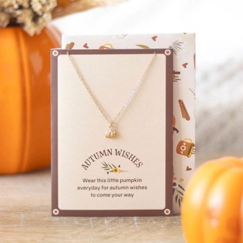Autumn Wishes Pumpkin Necklace RRP £10.99 sale price £7.99