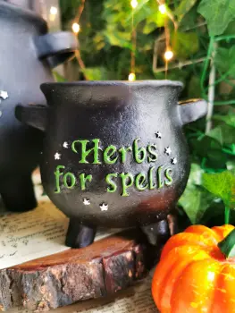 Herbs For Spells Mini Plant Pot RRP £12.99