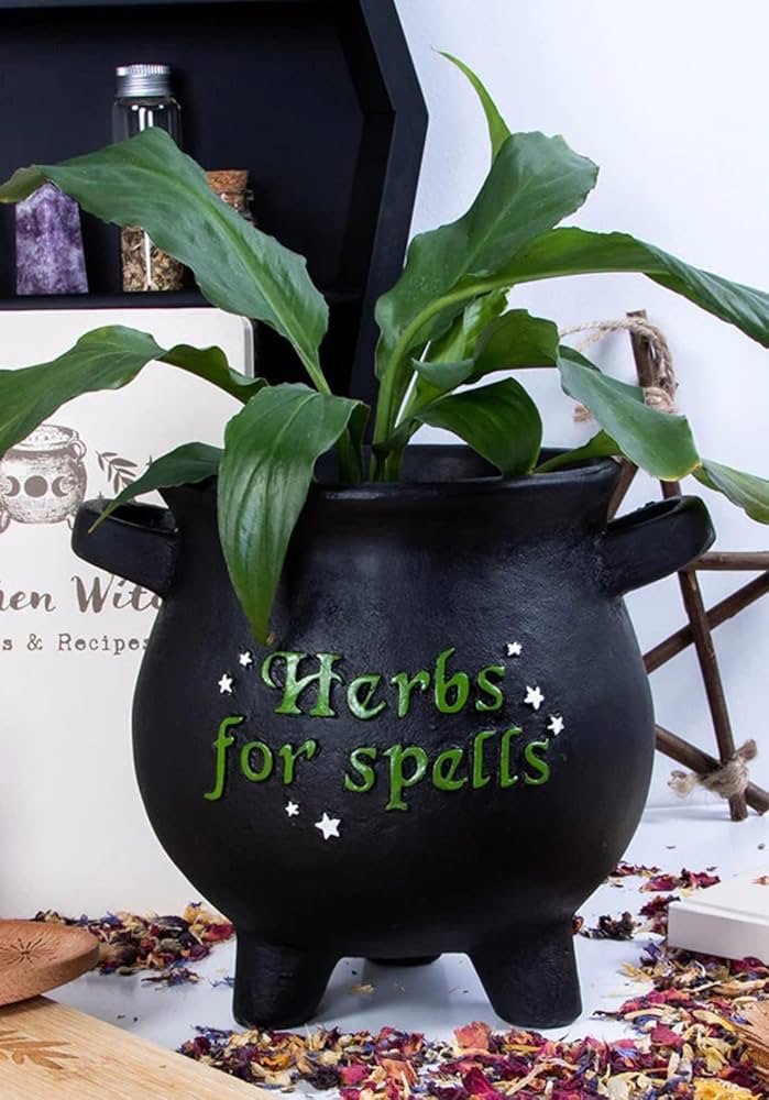 Herbs For Spells Mini Plant Pot RRP £12.99