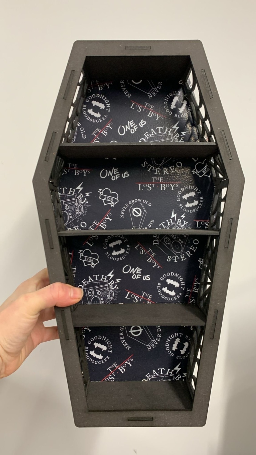 Lost Boys Coffin Shelf - one available