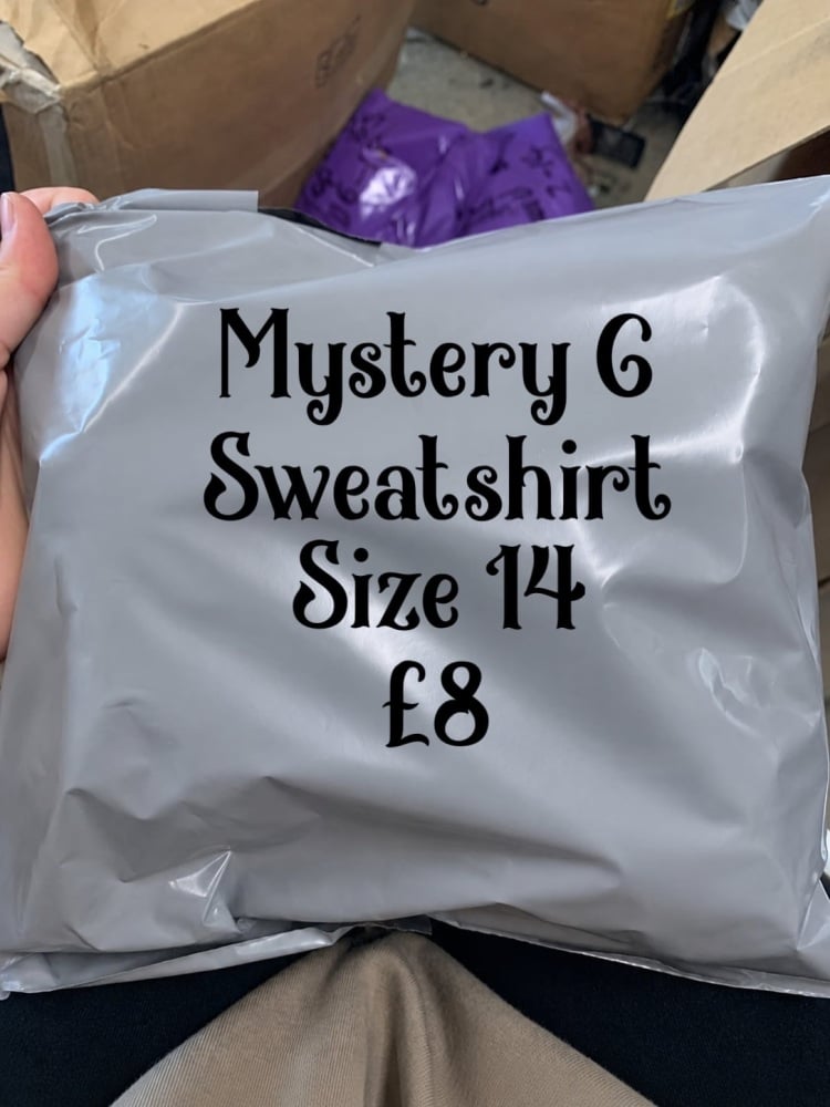 Mystery 6 sweatshirt size 14
