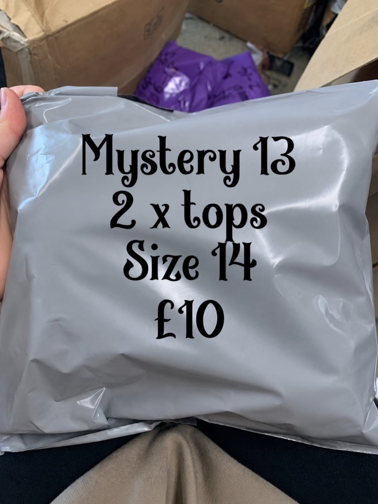 Mystery 13 2x tops size 14
