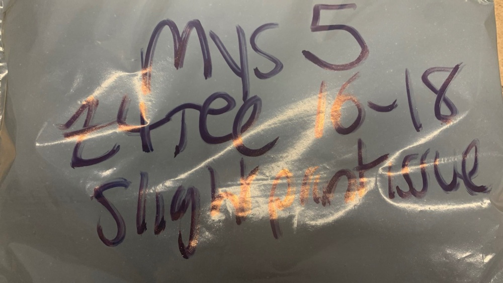 Mystery 5 - tee size 16-18 (slight print issue)