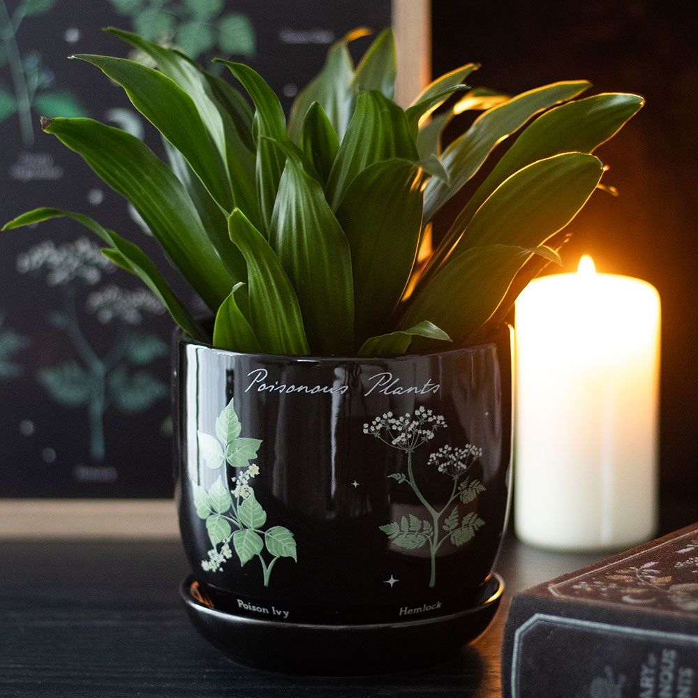 Poisonous Plants Plant Pot RRP &pound;12.99