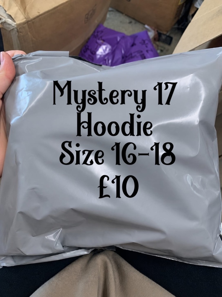 Mystery 17 hoodie size 16-18