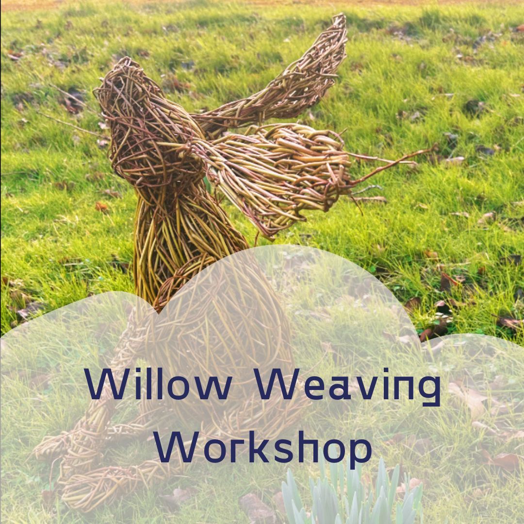 Hare Willow Weaving Workshop with lunch - 23rd March 2024