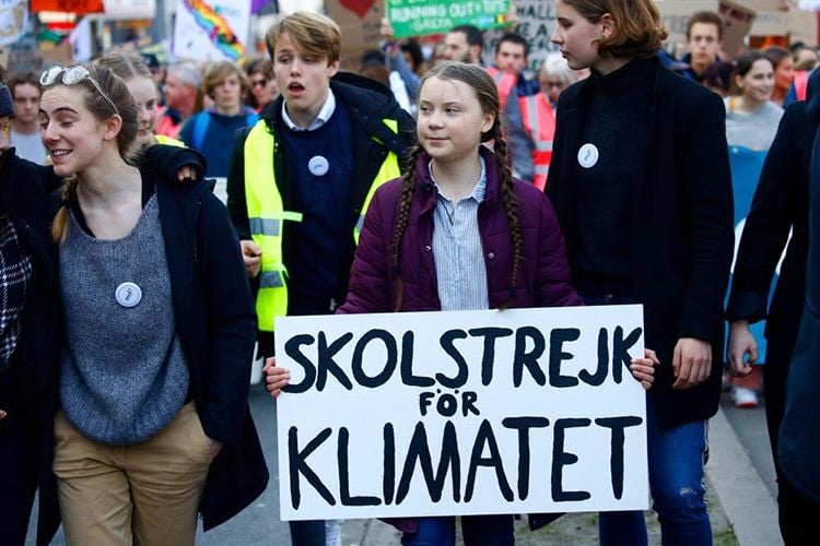 "School Strike For The Climate