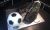 football-boots-and-ball-shaped-cake