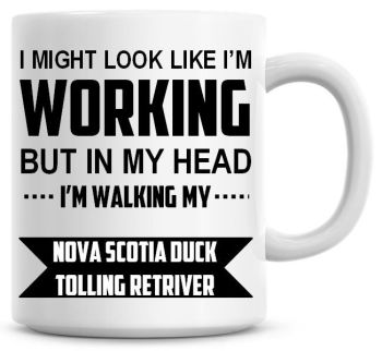 I Might Look Like I'm Working But In My Head I'm Walking My Nova Scotia Duck Tolling Retriver Coffee Mug