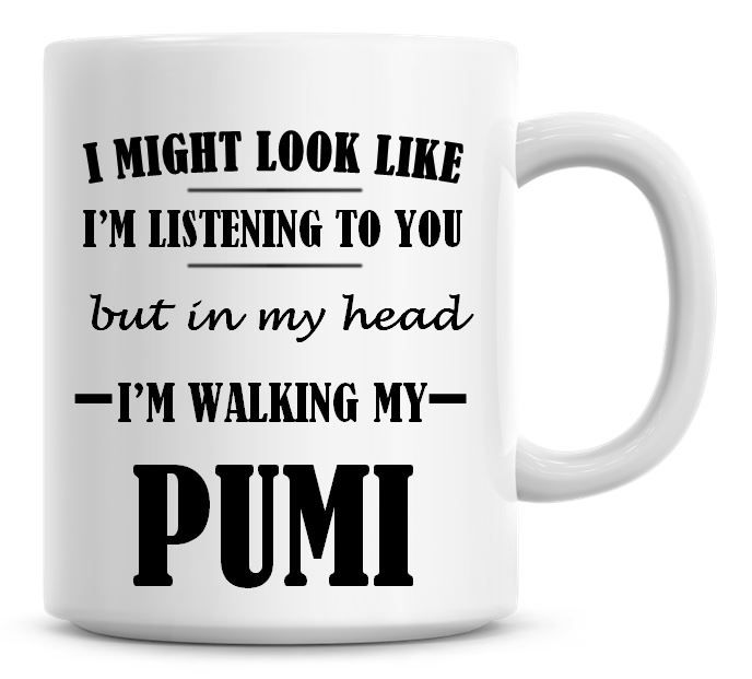 I Might Look Like I'm Listening To You But In My Head I'm Walking My Pumi C