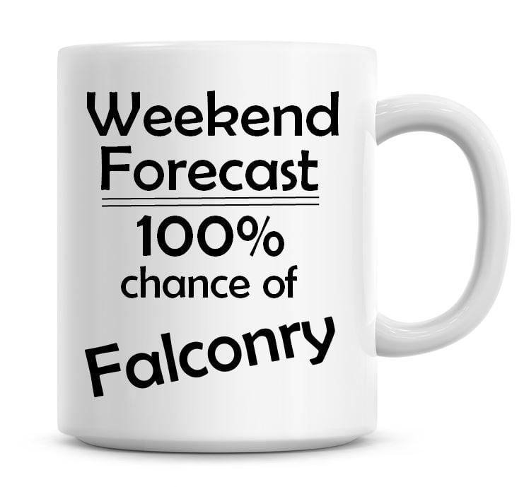 Weekend Forecast 100% Chance of Falconry