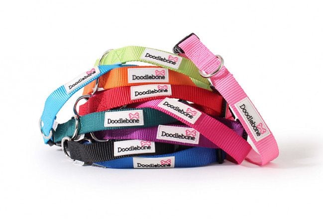 Bold Dog Collar - Small