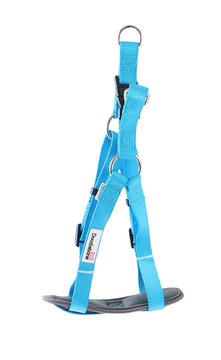 Bold Padded Dog Harness - Medium