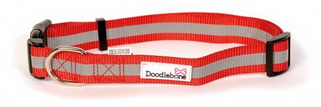 Bold Reflective Dog Collar - Extra Large